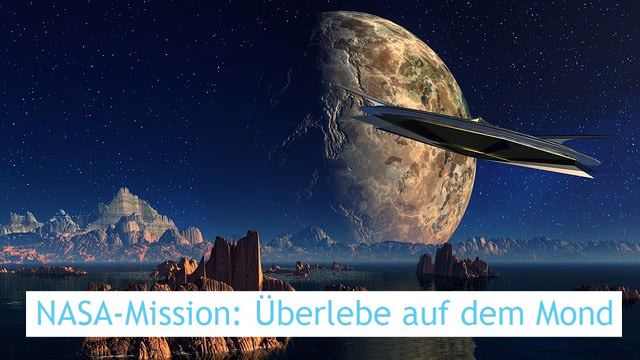 Bild von Reimund Bertrams auf Pixabay