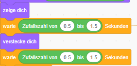 Scratch Code für die Anzeige für Zufallsdauer