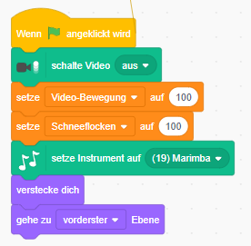 Screenshot Programmcode Setup Schneeflocke