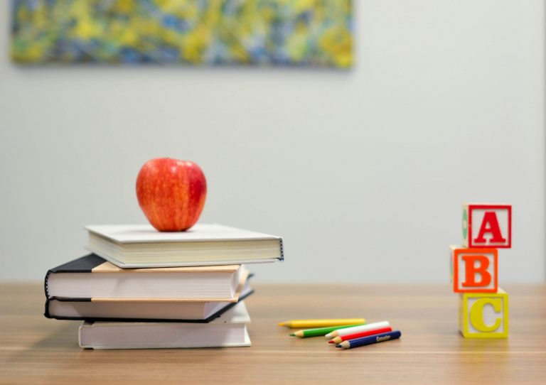 Bewerbung für die schulpraktische Ausbildung